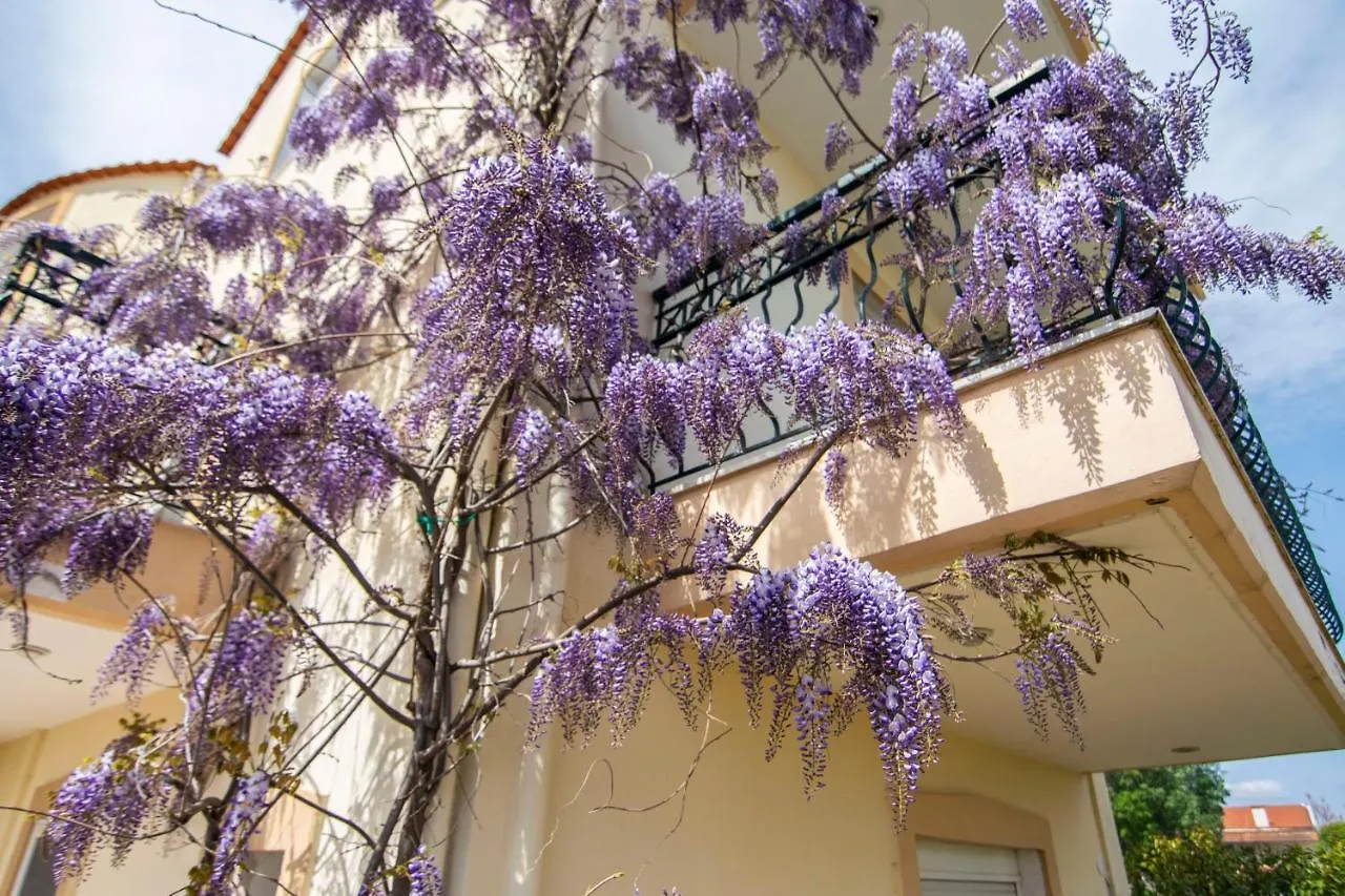 Σπίτι διακοπών Alkiviadis Maisonette By Rentalspro Services Portaria Beach Παραλία Διονυσίου